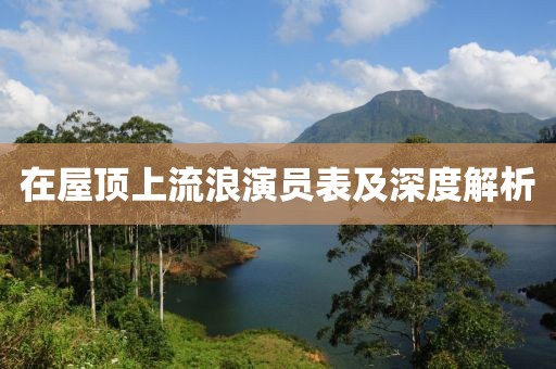 在屋顶上流浪演员表及深度解析