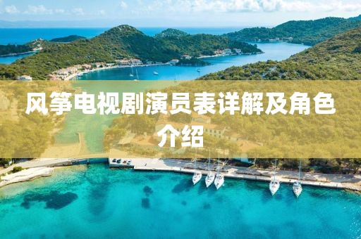 风筝电视剧演员表详解及角色介绍