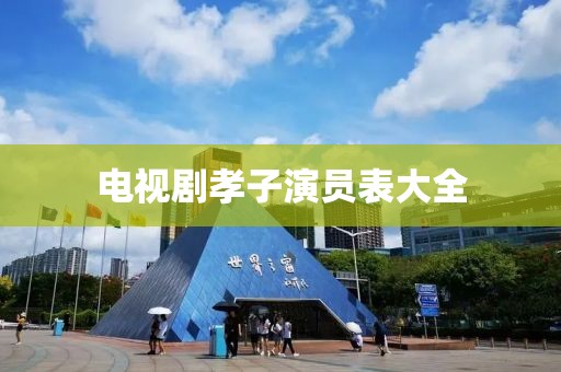 电视剧孝子演员表大全