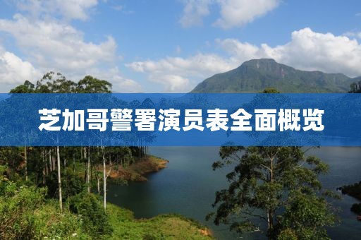 芝加哥警署演员表全面概览
