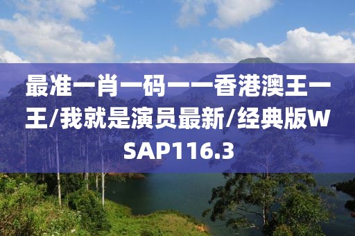 最准一肖一码一一香港澳王一王/我就是演员最新/经典版WSAP116.3