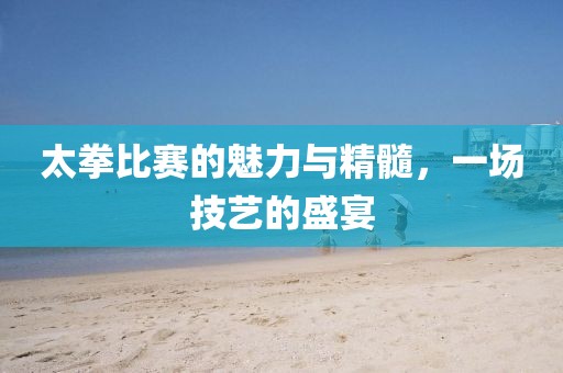 太拳比赛的魅力与精髓，一场技艺的盛宴