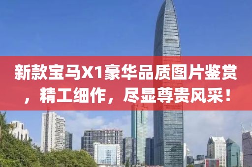 新款宝马X1豪华品质图片鉴赏，精工细作，尽显尊贵风采！