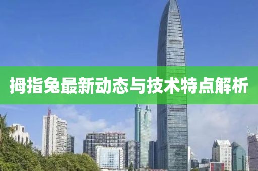 拇指兔最新动态与技术特点解析