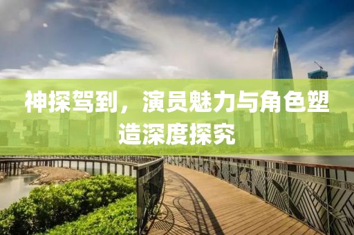 神探驾到，演员魅力与角色塑造深度探究