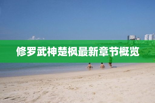 修罗武神楚枫最新章节概览