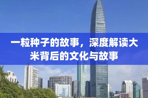 一粒种子的故事，深度解读大米背后的文化与故事