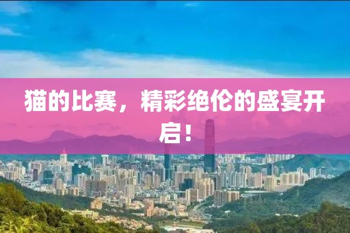 猫的比赛，精彩绝伦的盛宴开启！