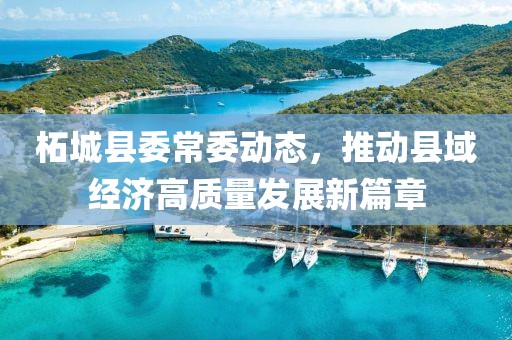 柘城县委常委动态，推动县域经济高质量发展新篇章