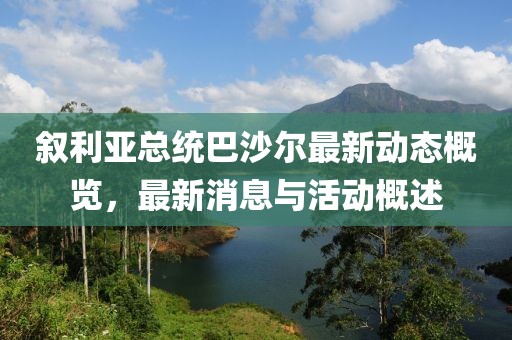 叙利亚总统巴沙尔最新动态概览，最新消息与活动概述
