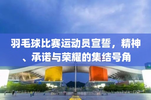 羽毛球比赛运动员宣誓，精神、承诺与荣耀的集结号角