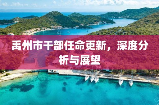 禹州市干部任命更新，深度分析与展望