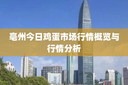 亳州今日鸡蛋市场行情概览与行情分析