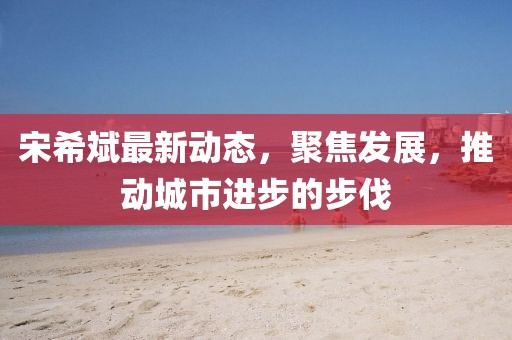 宋希斌最新动态，聚焦发展，推动城市进步的步伐