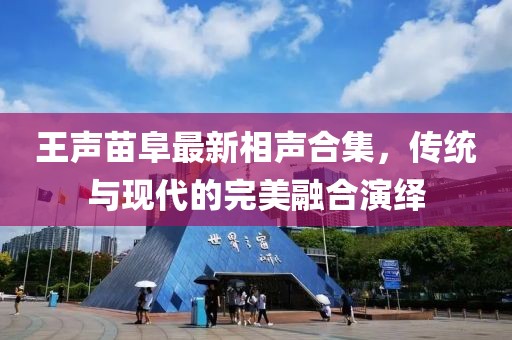 王声苗阜最新相声合集，传统与现代的完美融合演绎