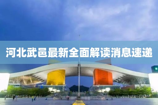 河北武邑最新全面解读消息速递