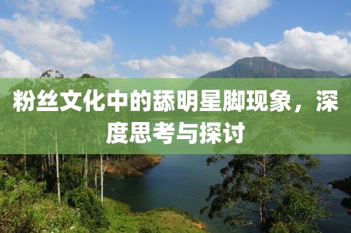 粉丝文化中的舔明星脚现象，深度思考与探讨