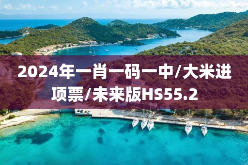 2024年一肖一码一中/大米进项票/未来版HS55.2