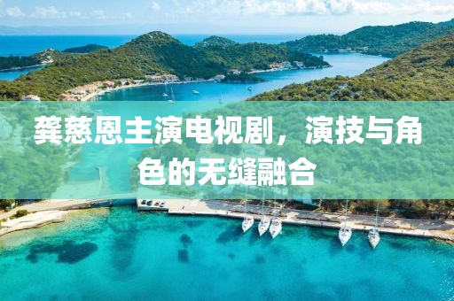 龚慈恩主演电视剧，演技与角色的无缝融合
