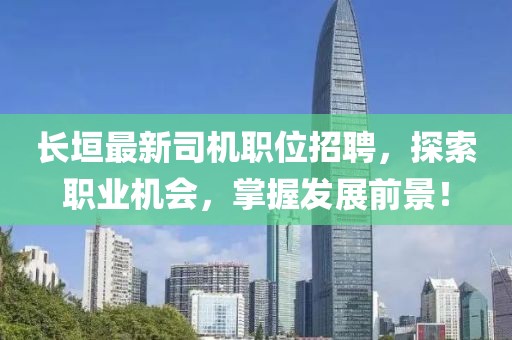 长垣最新司机职位招聘，探索职业机会，掌握发展前景！
