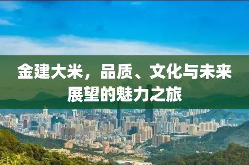 金建大米，品质、文化与未来展望的魅力之旅
