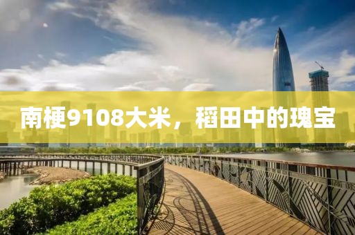 南梗9108大米，稻田中的瑰宝