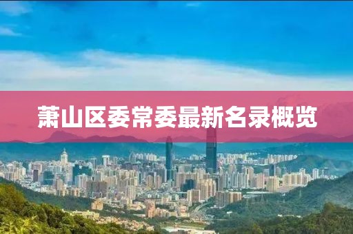萧山区委常委最新名录概览