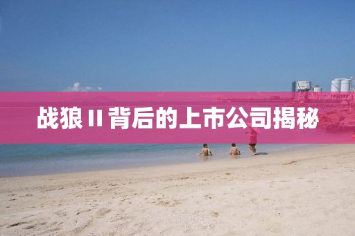 战狼Ⅱ背后的上市公司揭秘