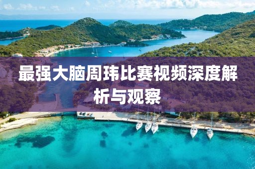 最强大脑周玮比赛视频深度解析与观察