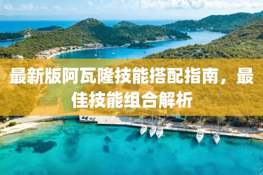 最新版阿瓦隆技能搭配指南，最佳技能组合解析