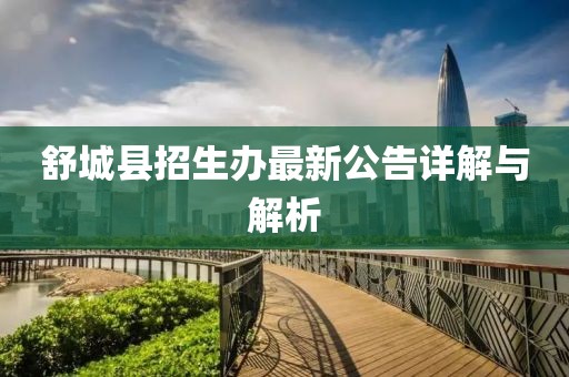 舒城县招生办最新公告详解与解析