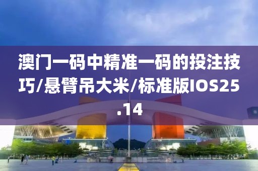 澳门一码中精准一码的投注技巧/悬臂吊大米/标准版IOS25.14