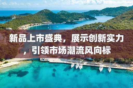 新品上市盛典，展示创新实力，引领市场潮流风向标