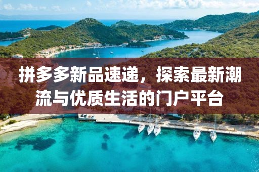 拼多多新品速递，探索最新潮流与优质生活的门户平台