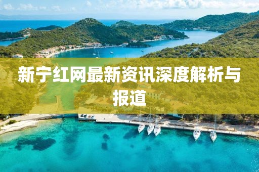 新宁红网最新资讯深度解析与报道