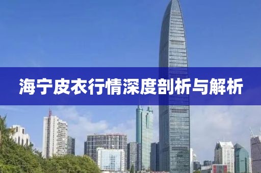 海宁皮衣行情深度剖析与解析
