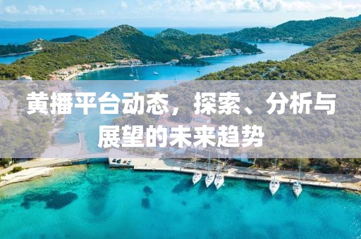 黄播平台动态，探索、分析与展望的未来趋势