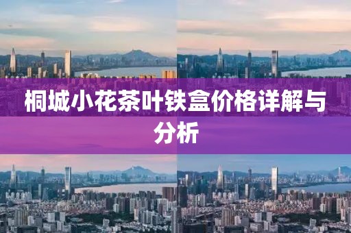 桐城小花茶叶铁盒价格详解与分析