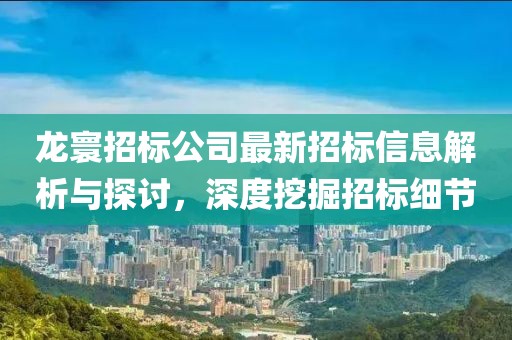 龙寰招标公司最新招标信息解析与探讨，深度挖掘招标细节