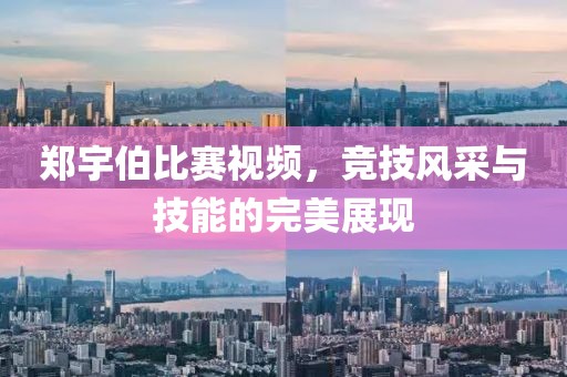 郑宇伯比赛视频，竞技风采与技能的完美展现