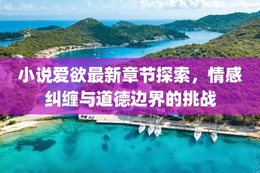 小说爱欲最新章节探索，情感纠缠与道德边界的挑战