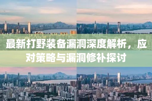 最新打野装备漏洞深度解析，应对策略与漏洞修补探讨