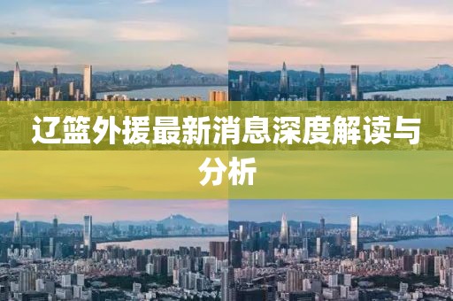 辽篮外援最新消息深度解读与分析
