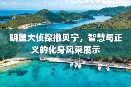 明星大侦探撒贝宁，智慧与正义的化身风采展示