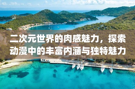 二次元世界的肉感魅力，探索动漫中的丰富内涵与独特魅力