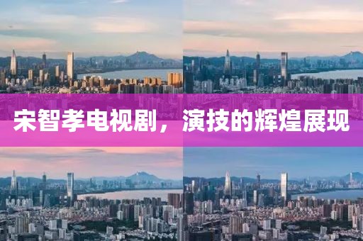 宋智孝电视剧，演技的辉煌展现
