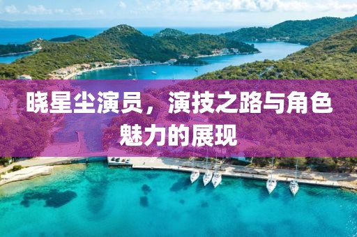 晓星尘演员，演技之路与角色魅力的展现