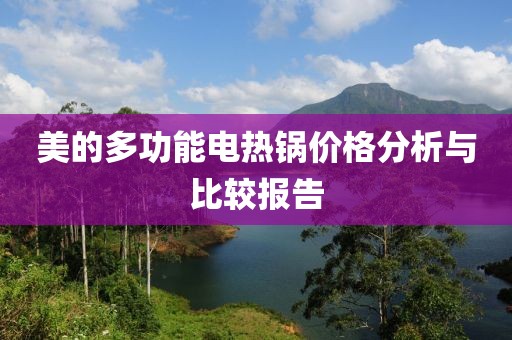 美的多功能电热锅价格分析与比较报告