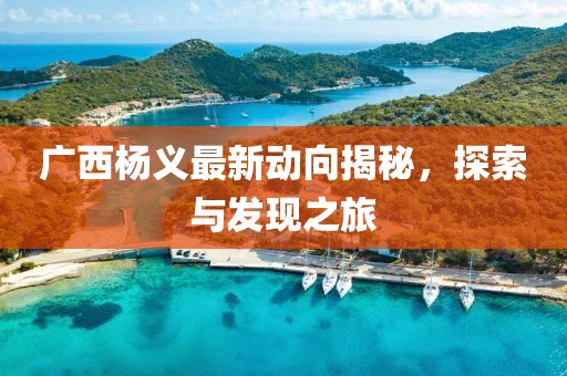 广西杨义最新动向揭秘，探索与发现之旅