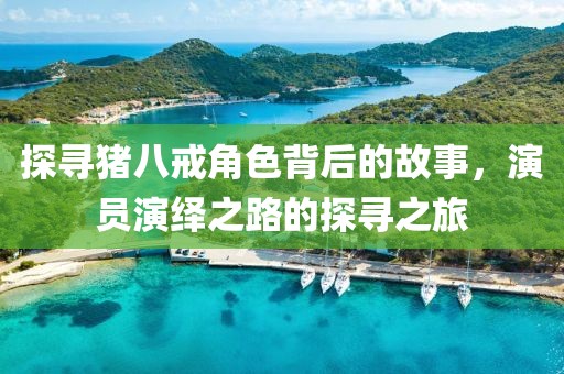 探寻猪八戒角色背后的故事，演员演绎之路的探寻之旅